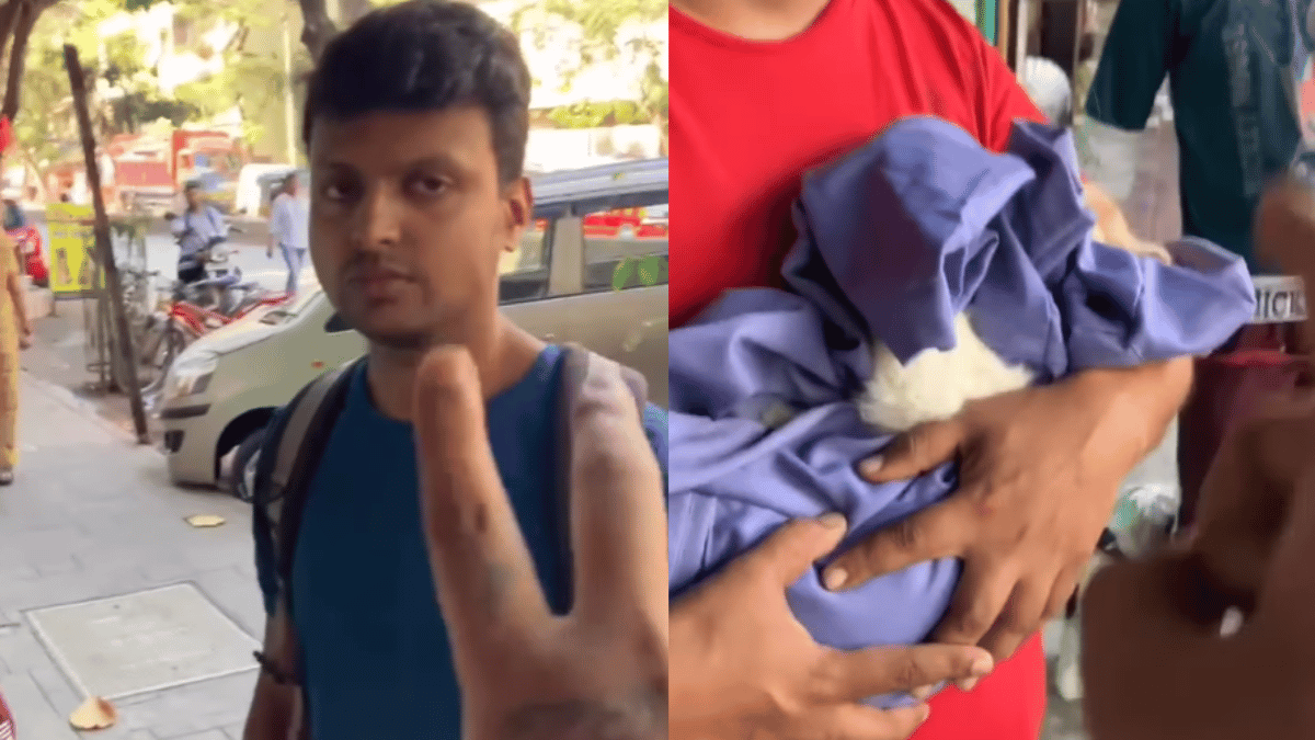 mumbai-pet-cat-loses-life-due-to-grooming-centre-ignorance-another-thane-like-incident-leaves-internet-outraged